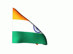 India Flag Waving GIF