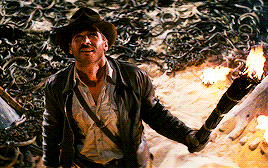 Indiana Jones Harrison Ford Adventure Movie GIF