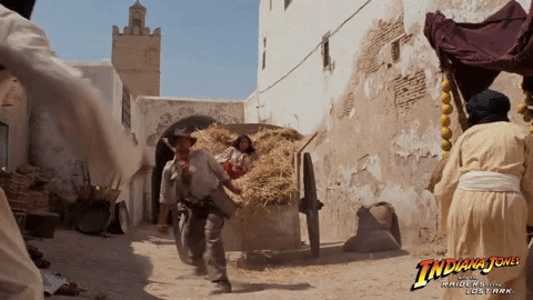 Indiana Jones Harrison Ford Whip GIF