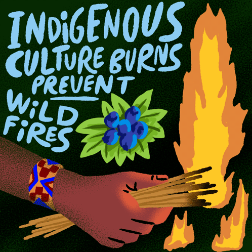 Indigenous Culture Burns Prevent Wild Fires Written On A Green Background GIF