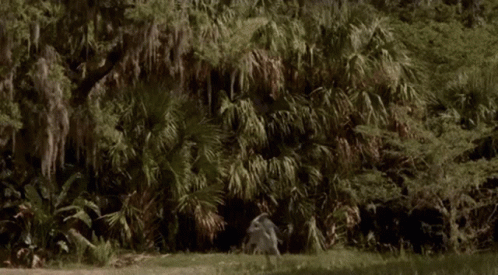Indominus Rex Chasing Small Dinosaur GIF