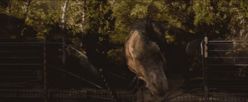 Indominus Rex Versus Lion GIF