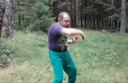 Infinidat Kung Fu Moves GIF