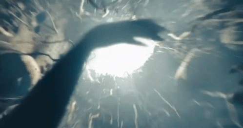 Infinite Fantasy Land Fall Down Rabbit Hole GIF