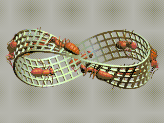 Infinite Loop Mobius Strips GIF