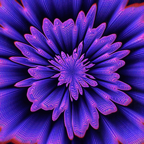 Infinite Purple Flower Blooming Optical Illusions GIF