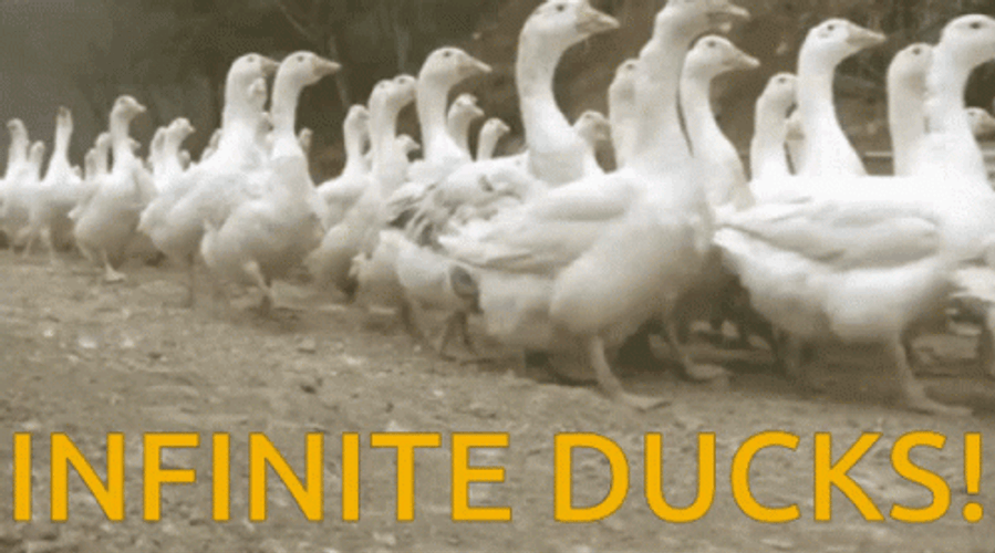 running duck gif