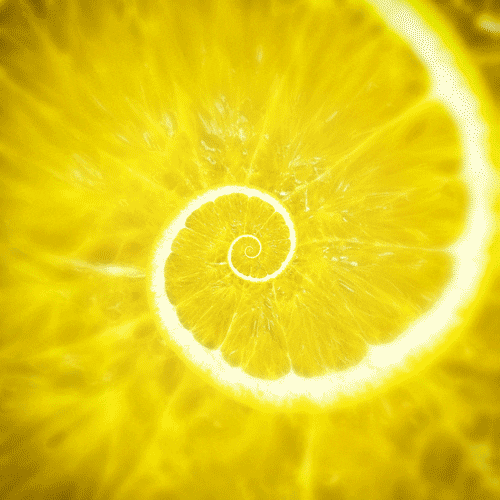 Infinite Spiral Lemon GIF