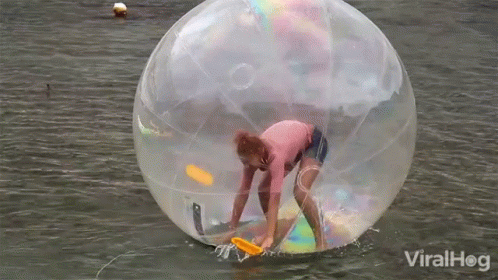 Inflatable Big Bubble Hamster Ball GIF