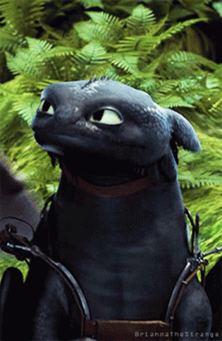 Innocent Look Toothless Meme GIF
