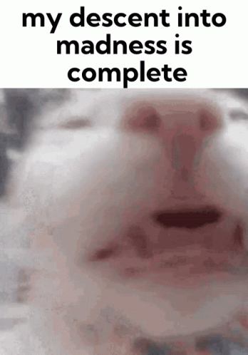 White Cat Getting Insane GIF