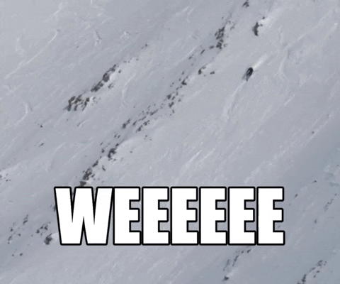 Insane Ski Downhill Skill GIF