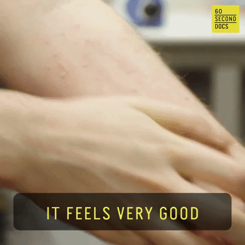 Insect Bite Allergy GIF