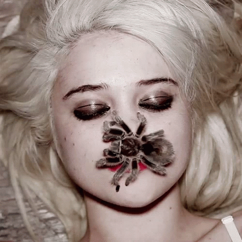 Insect Crawling Sky Ferreira GIF
