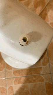 Insect In Fan Spinning GIF