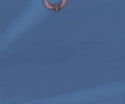 Inspector Gadget 480 X 400 Gif GIF