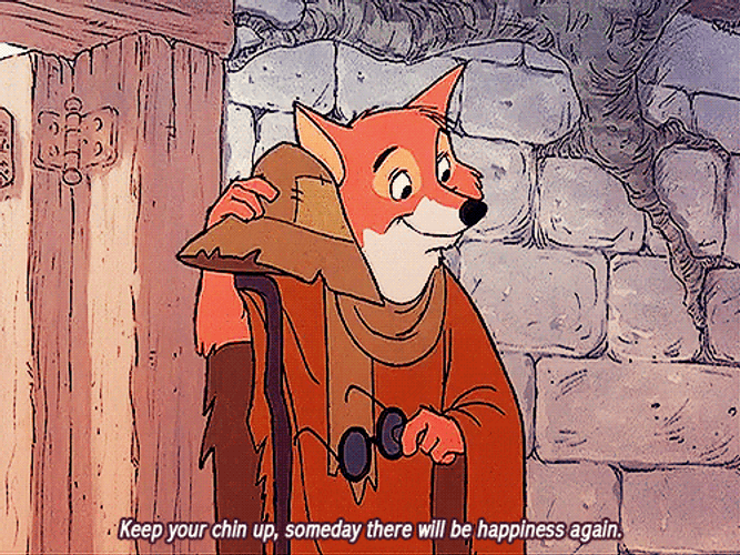 Robin Hood GIFs
