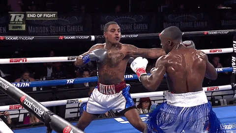 Intense Boxing Knockout GIF