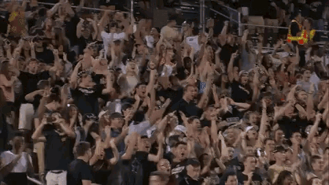 Intense Crowd Cheering GIF