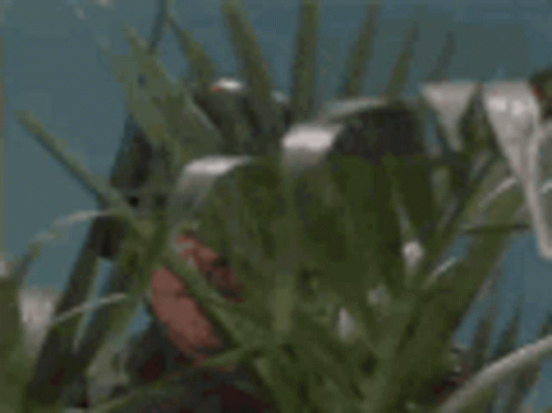 Interesting Gif File 4009kb GIF