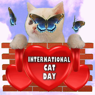 International Cat Day Feline And Butterflies GIF
