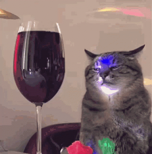International Cat Day Feline With Glass Of Wine GIF