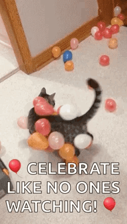 International Cat Day Feline With Many Balloons GIF