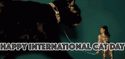 International Cat Day Giant Black Feline GIF