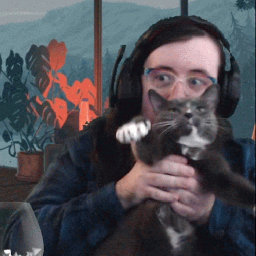 International Cat Day Man Making Pet Dance GIF