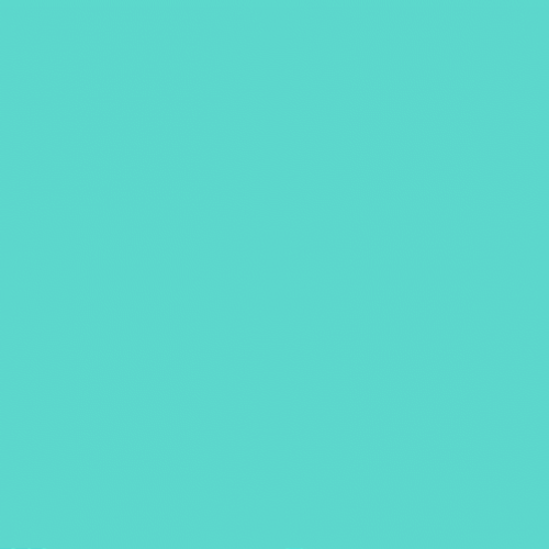 International Women's Day Connecting Hands GIF