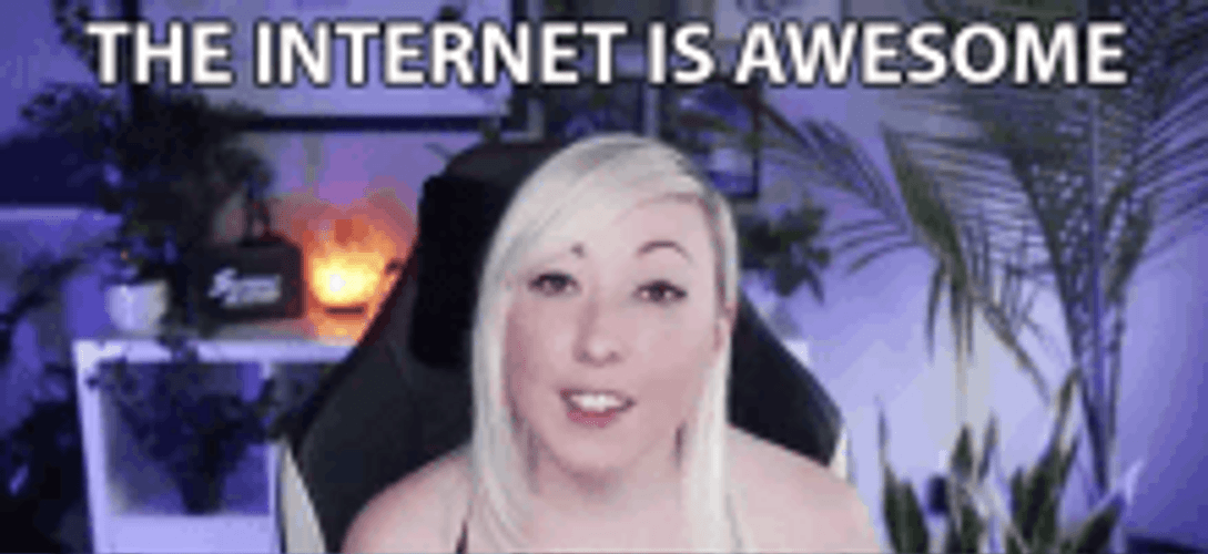 Internet Is Awesome GIF
