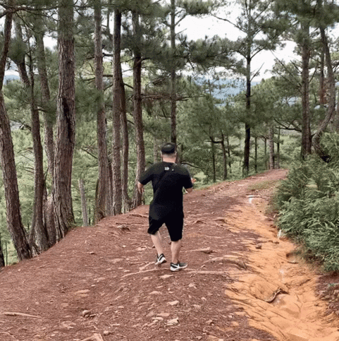Into Woods Running Meme GIF