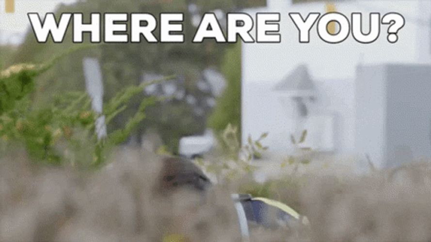 Investigating Where  GIF