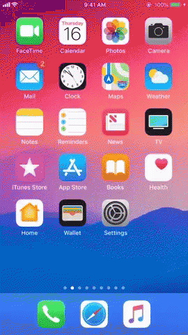 Iphone Xs Max 270 X 480 Gif GIF