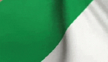 Ireland Flag Waving Close Shot GIF