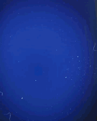 Irfan Can Kahveci Goal GIF