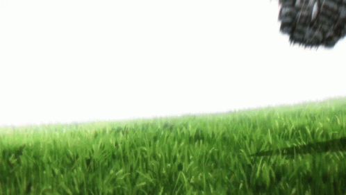 Isagi Yoichi Full Of Power GIF