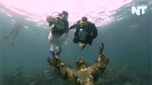 Isla De Mona Redux Underwater GIF