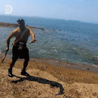 Island Boy Dancing Discovery Europe GIF