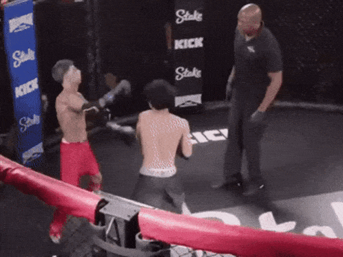 Island Boys Fight Gif GIF