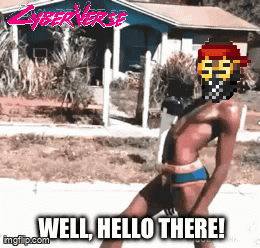 Island Guy Well There It Is GIF