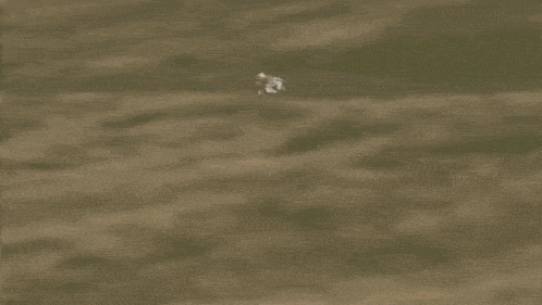 Isle Of Man Manx Gif GIF