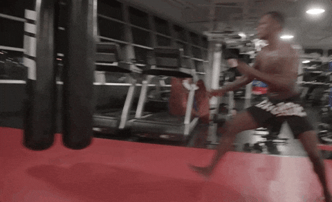 Israel Adesanya Kicking Punching Bag GIF
