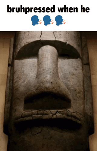 It Belongs In A Museum Bruhpressed GIF