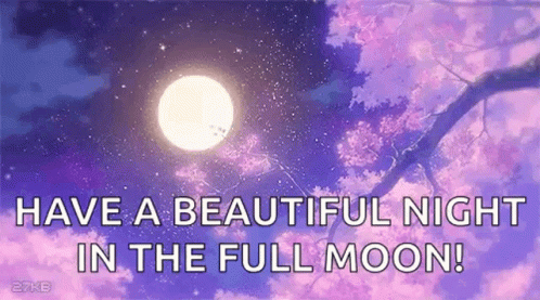 it is a beautiful night in the full moon with a tree branch in the foreground .