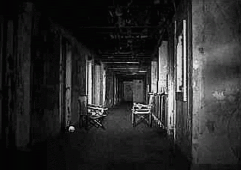 It Is A Black And White Photo Of A Long Hallway With Chairs . GIF