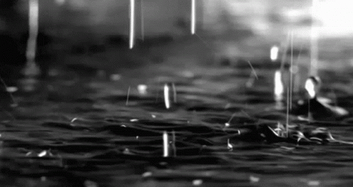It Is A Black And White Photo Of Rain Falling On A Puddle Of Water . GIF