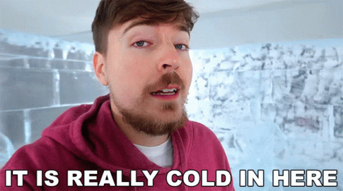 It Is Really Cold In Here Mrbeast Meme GIF