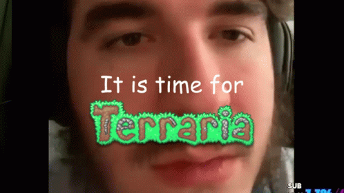 It Is Time For Terraria GIF