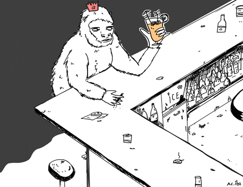 It's 5 O'clock Somewhere White Gorilla GIF